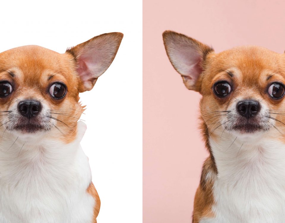 clipping path vs image masking