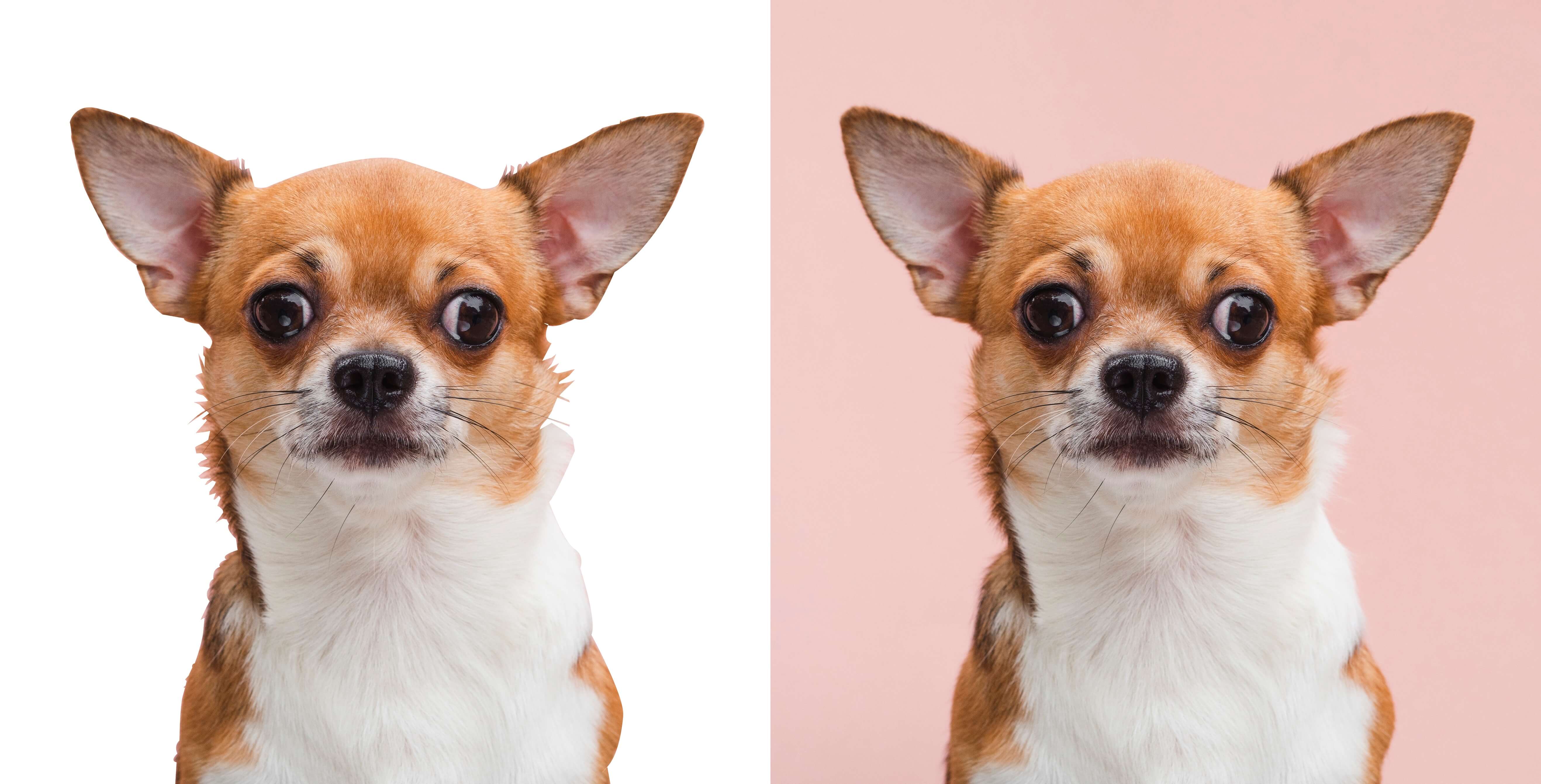 clipping path vs image masking