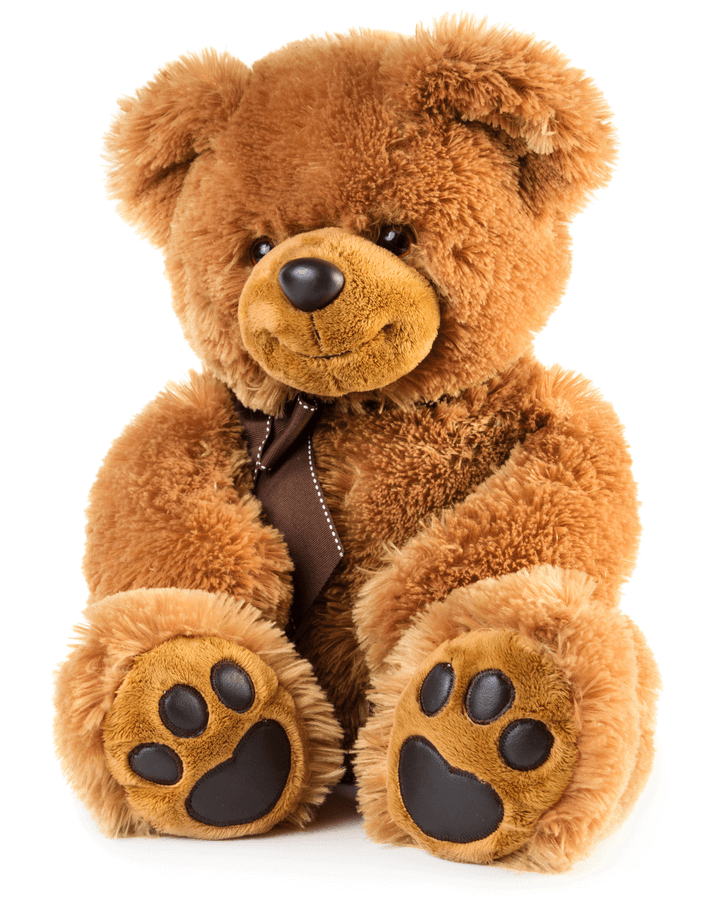 teddy image masking service teddy image masking service