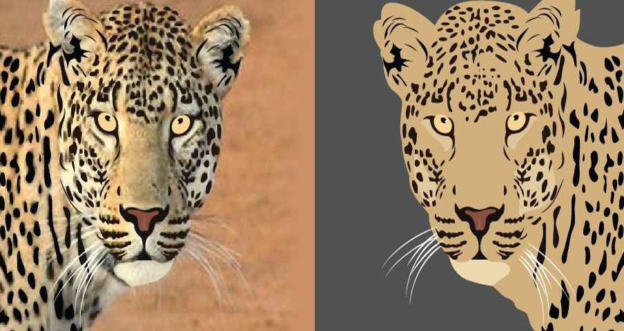 Raster to Vector Conversion Service